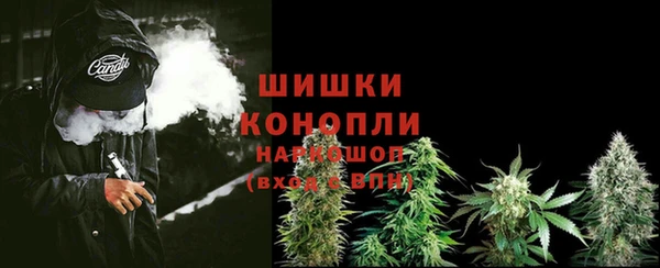 ешки Аркадак
