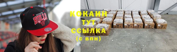ешки Аркадак