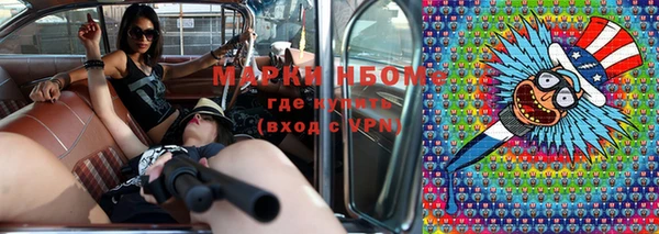 ешки Аркадак