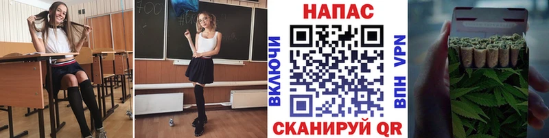 купить наркотики сайты  ссылка на мегу ссылки  Шишки марихуана ГИДРОПОН  Ивдель 